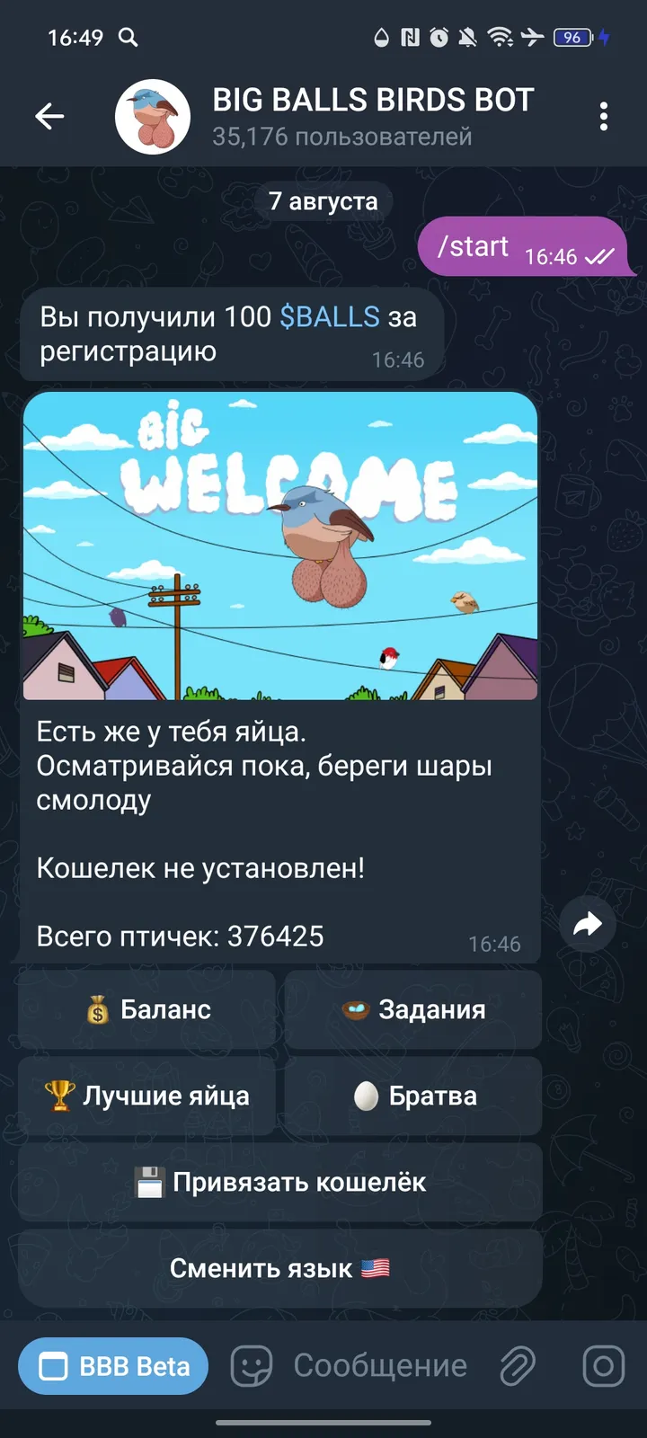 BIG BALLS BIRDS BOT — Screenshot 1