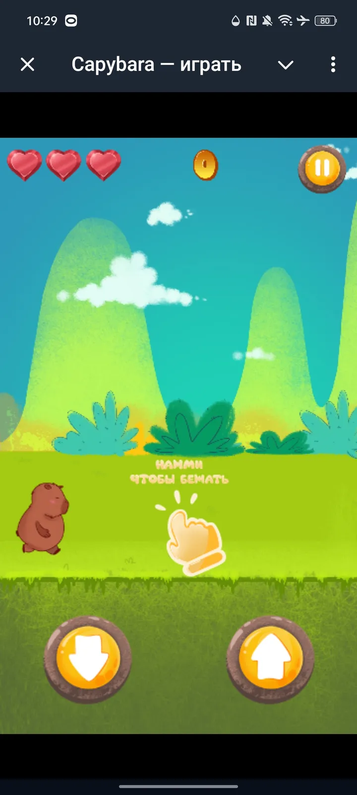 Capybara — играть — Screenshot 3