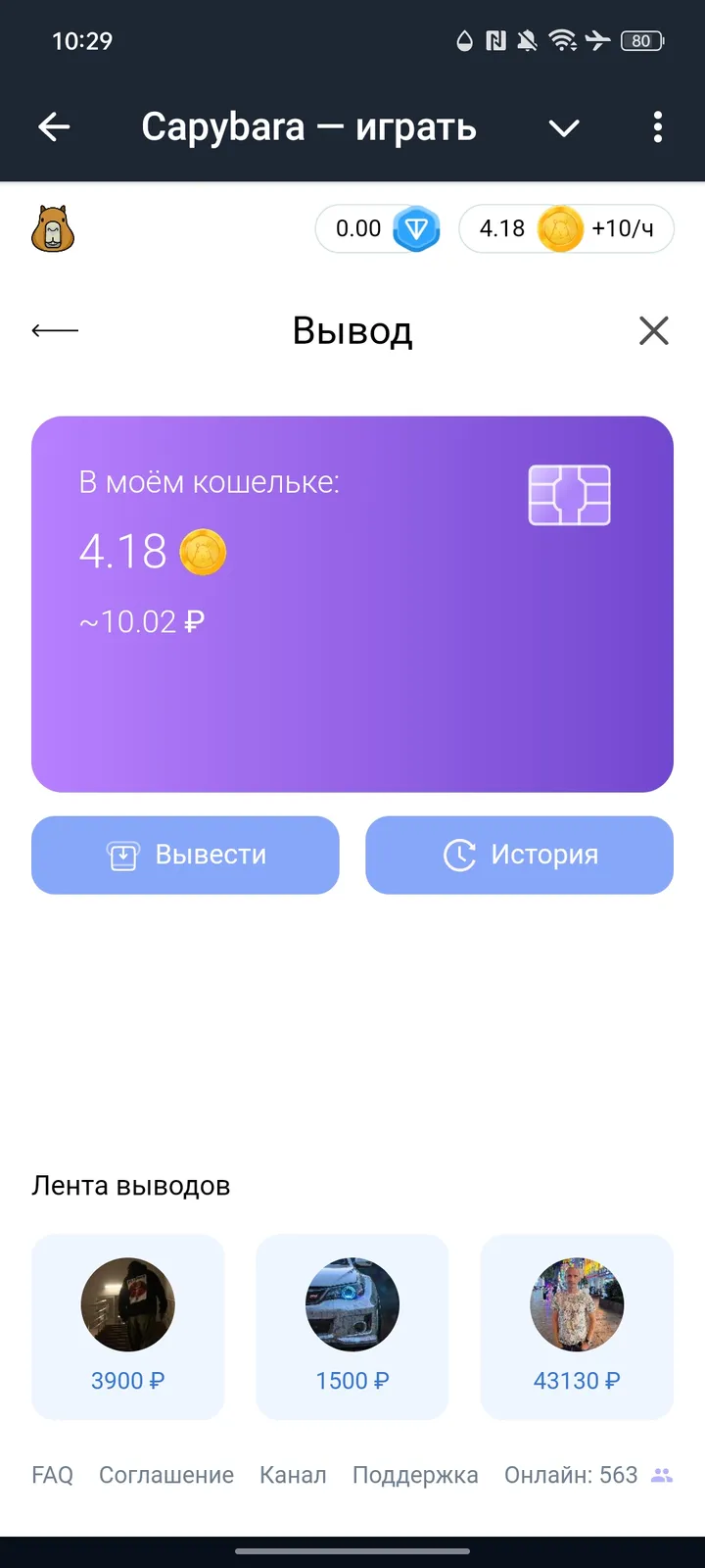 Capybara — играть — Screenshot 5