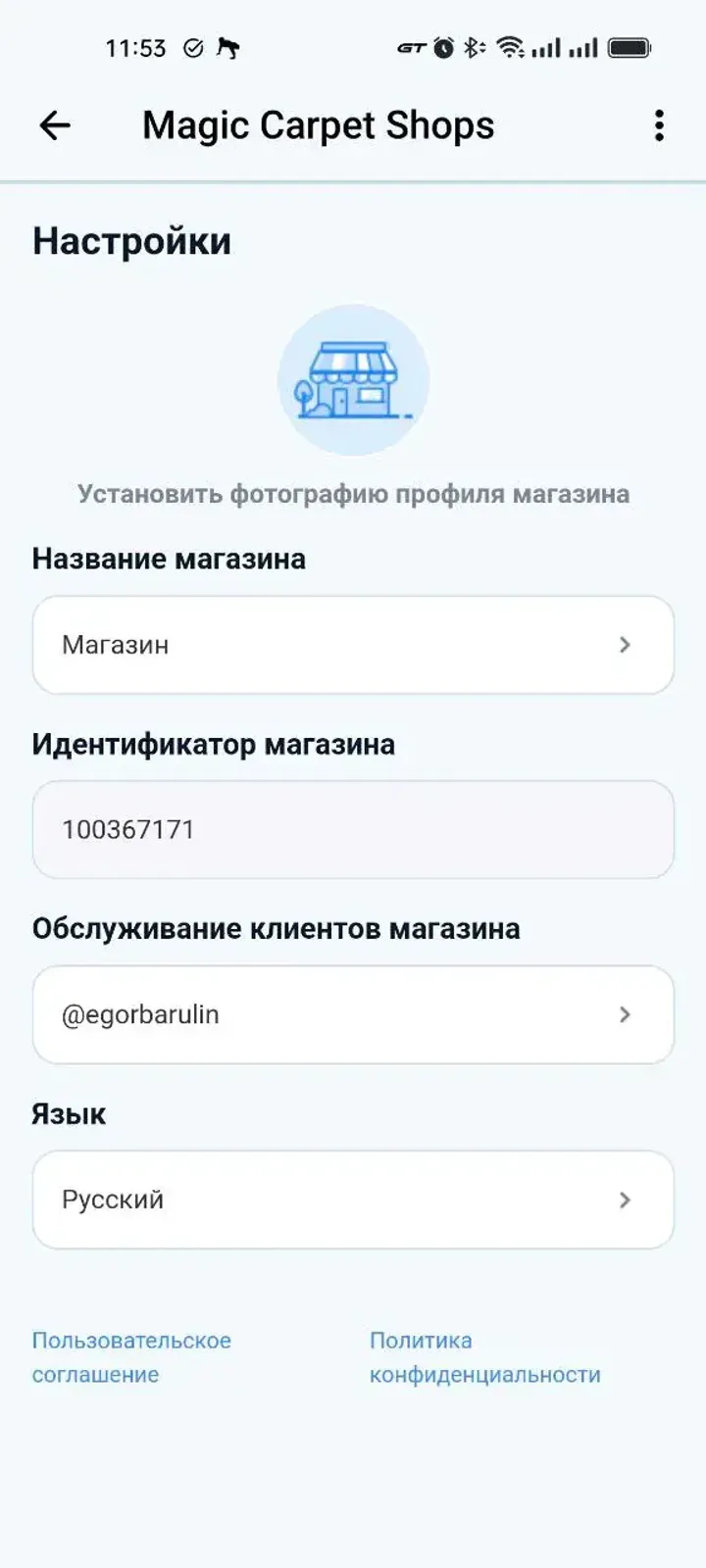 Magic Carpet Shops — Screenshot 1