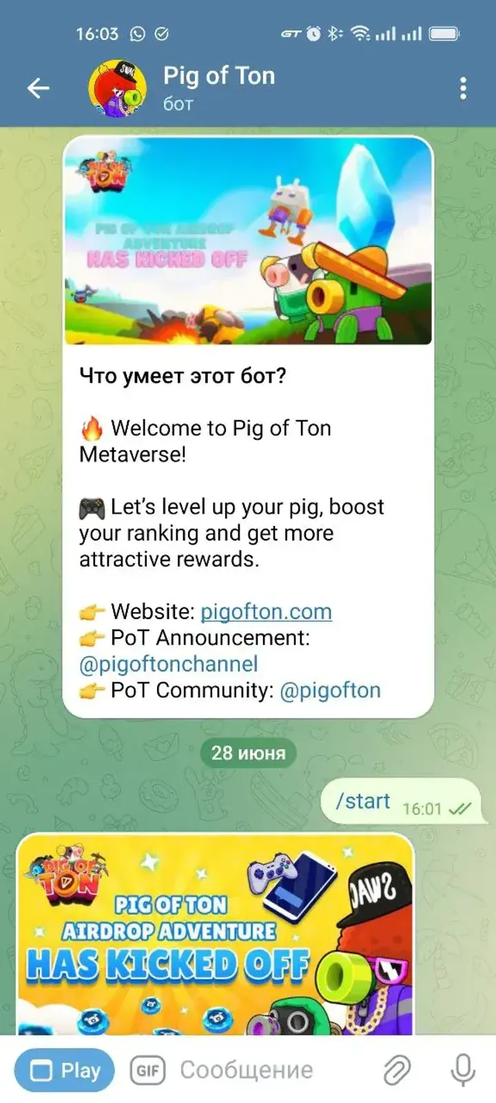 Pig of Ton — Screenshot 4