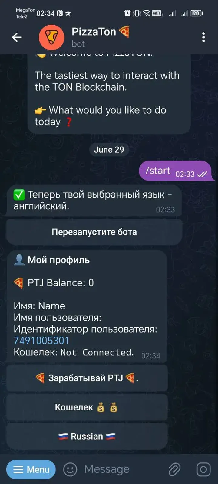 PizzaTon 🍕 — Screenshot 2