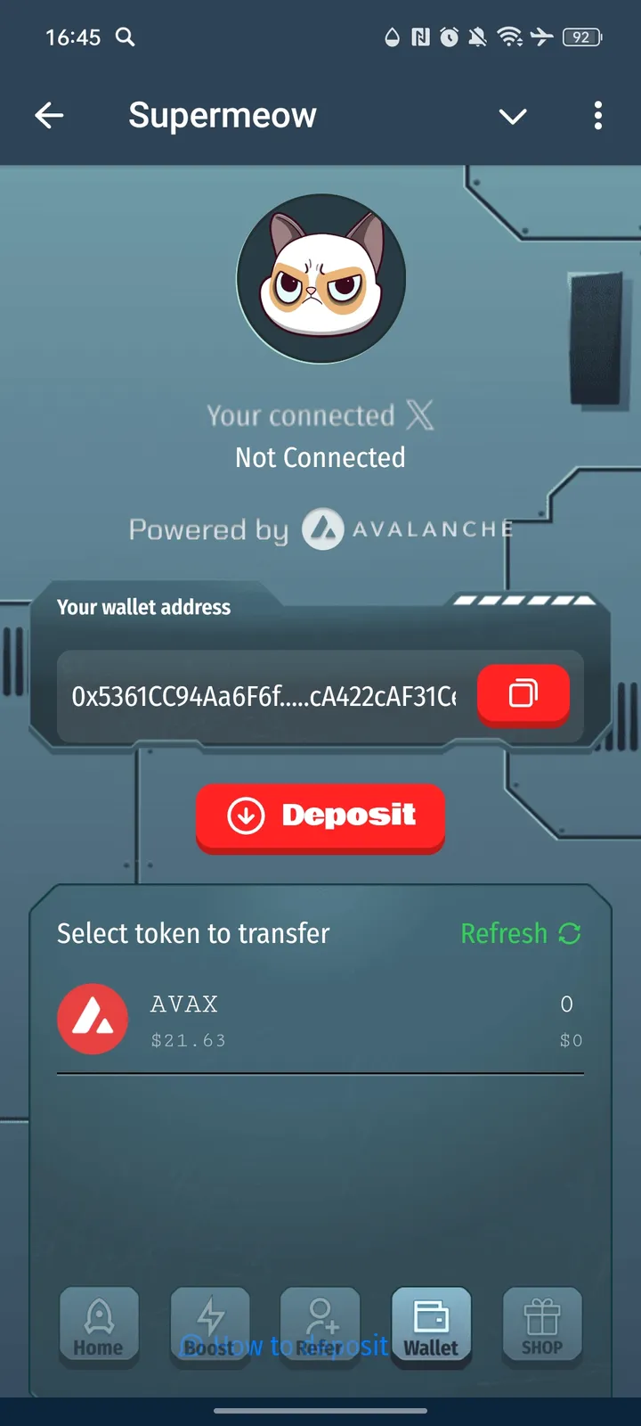 Supermeow — Screenshot 4