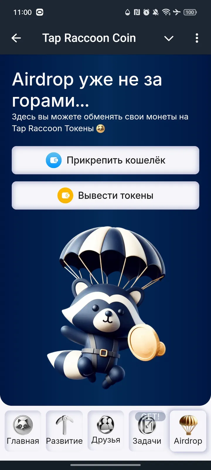 Tap Raccoon Coin — Screenshot 5