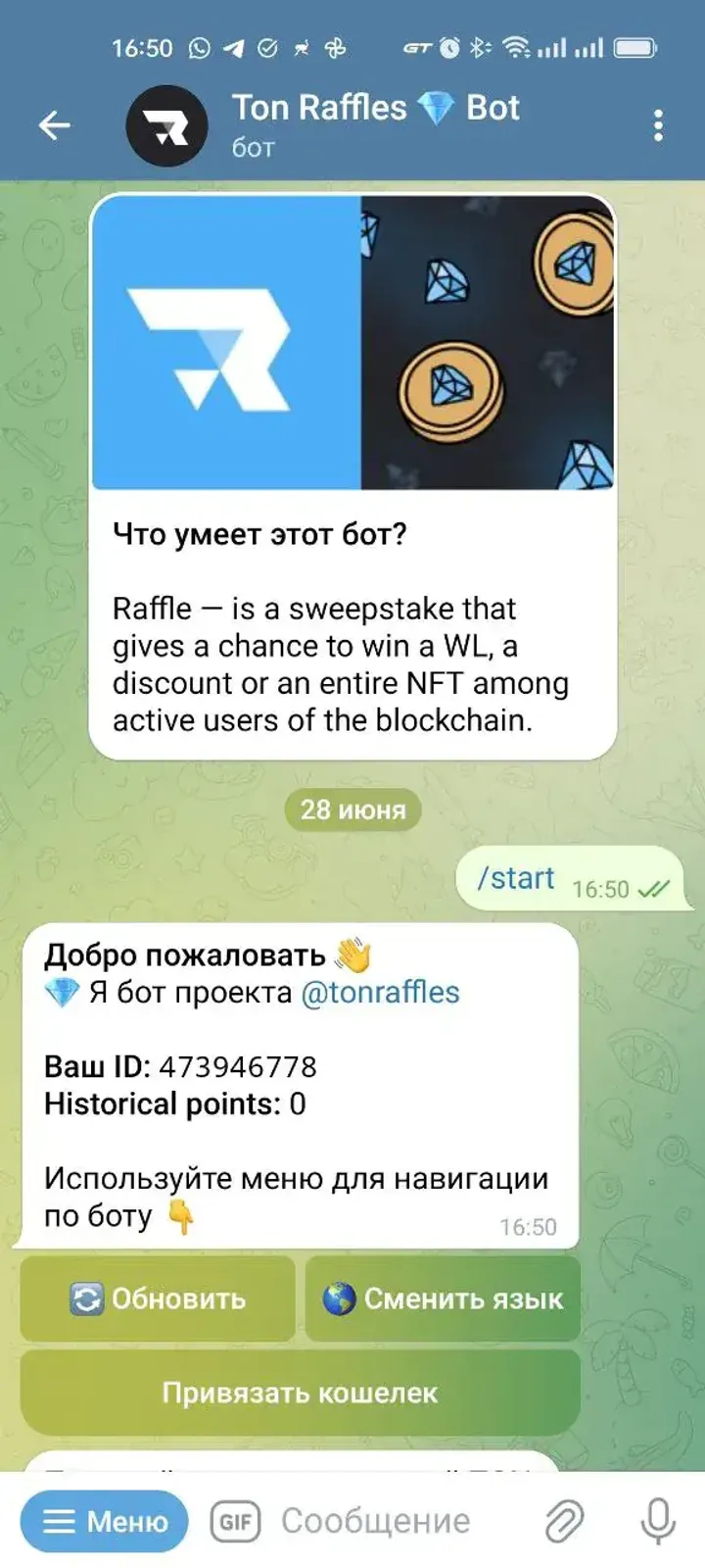 Ton Raffles 💎 Bot — Screenshot 1