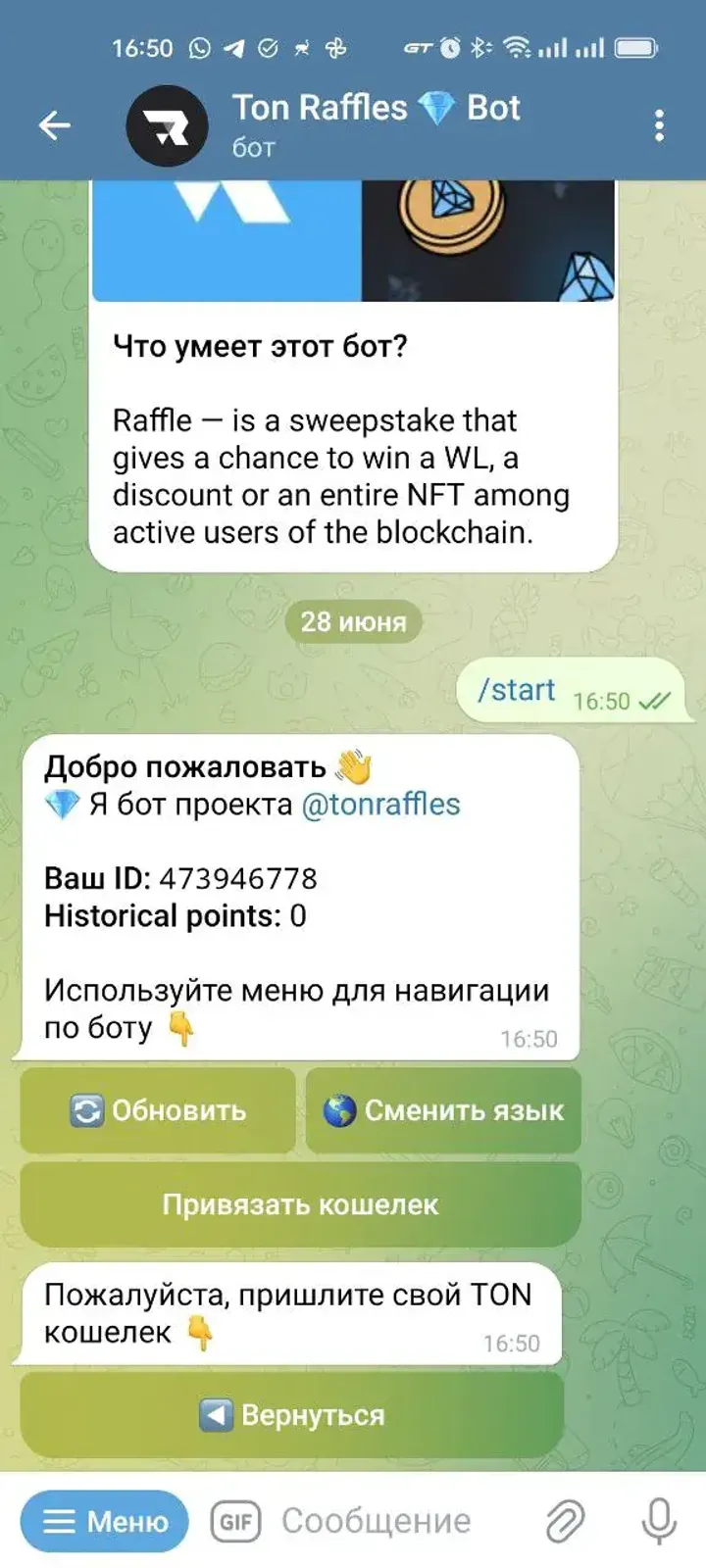 Ton Raffles 💎 Bot — Screenshot 2