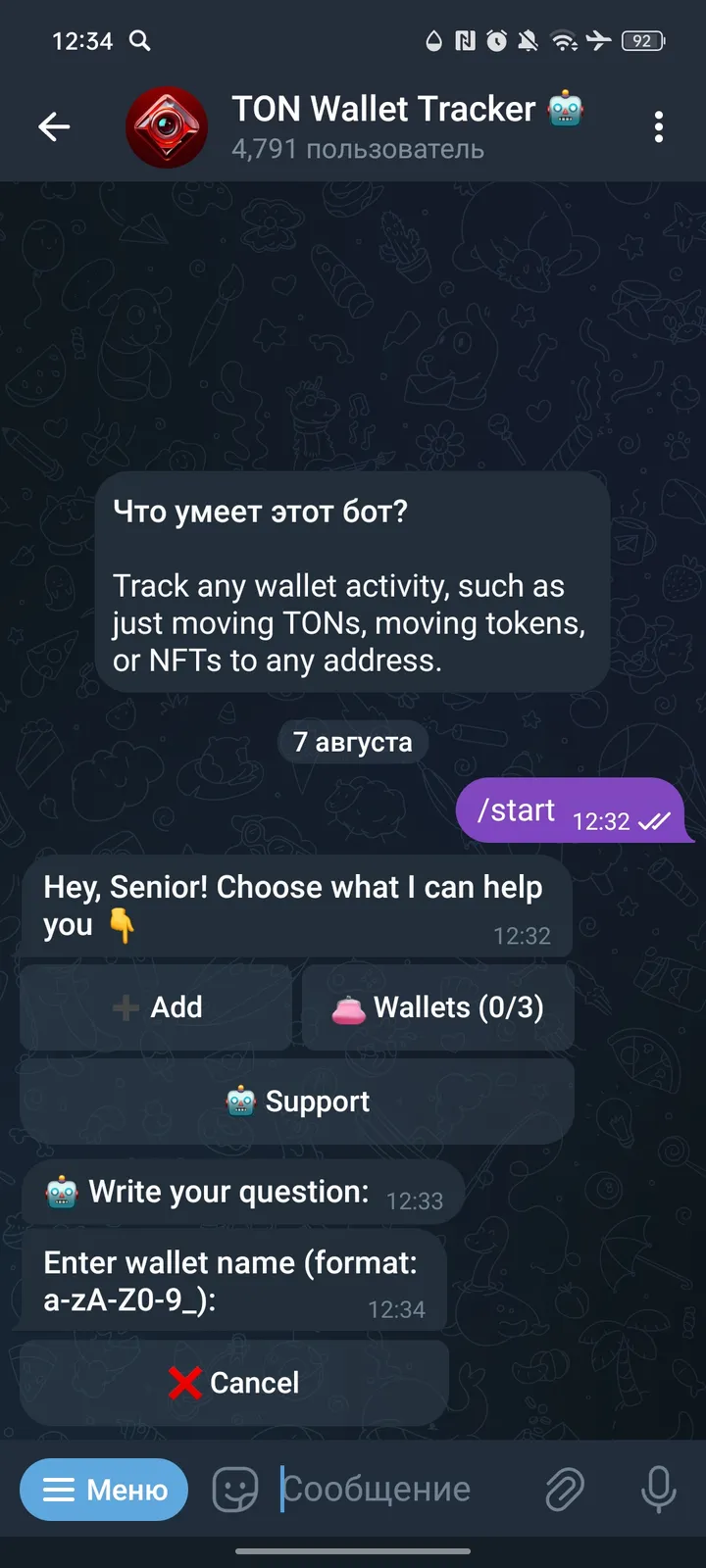 TON Wallet Tracker 🤖 — Screenshot 2
