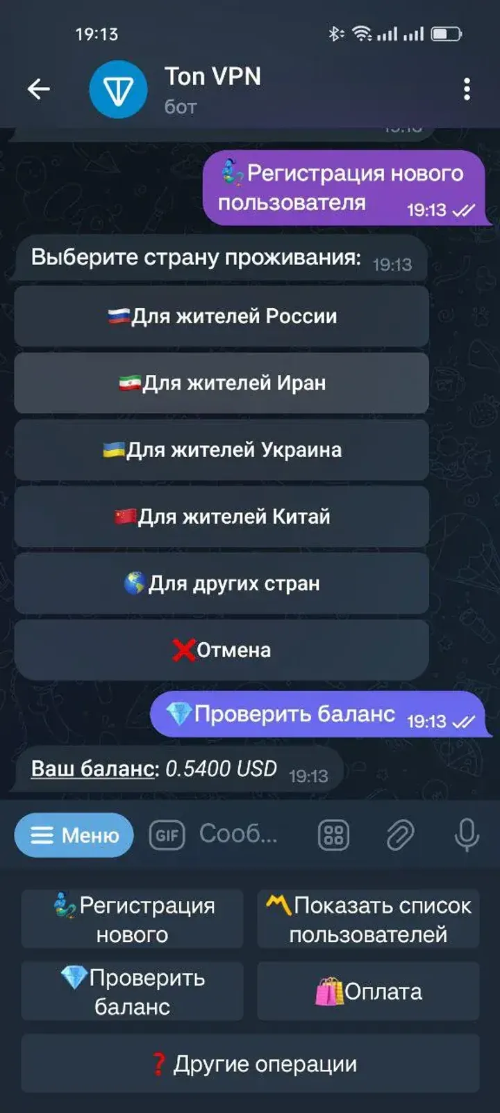 Ton VPN — Screenshot 2