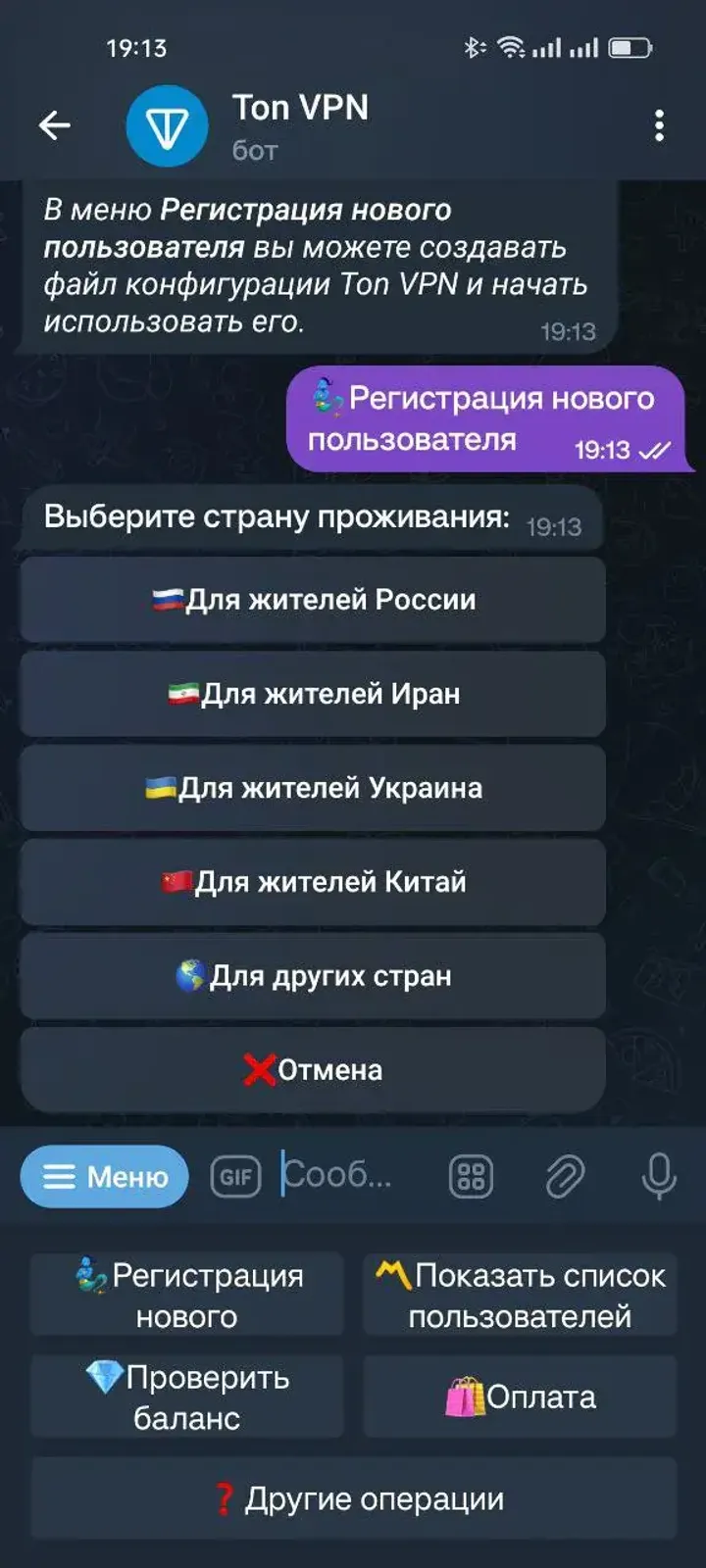 Ton VPN — Screenshot 6