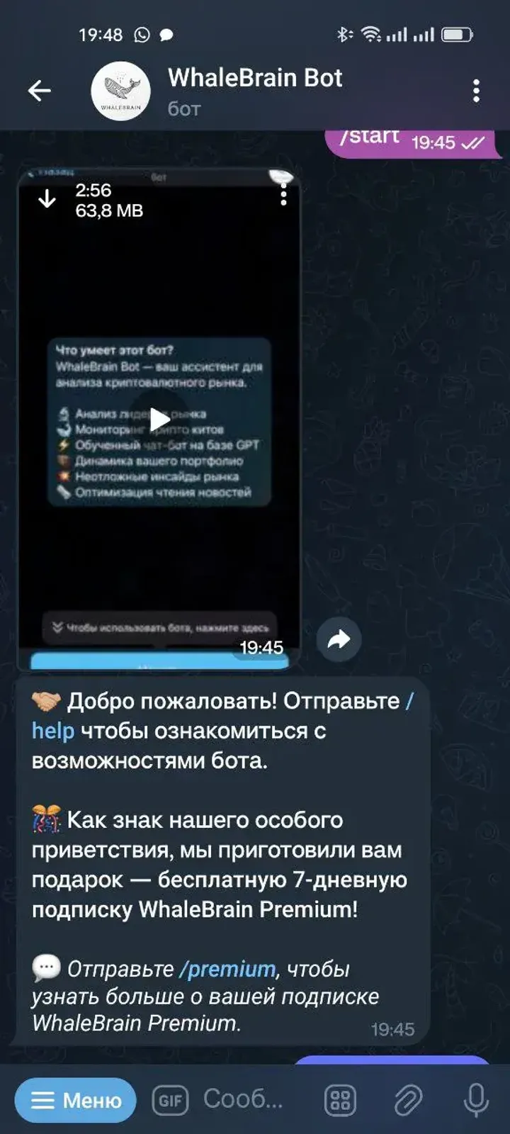 WhaleBrain Bot — Screenshot 4