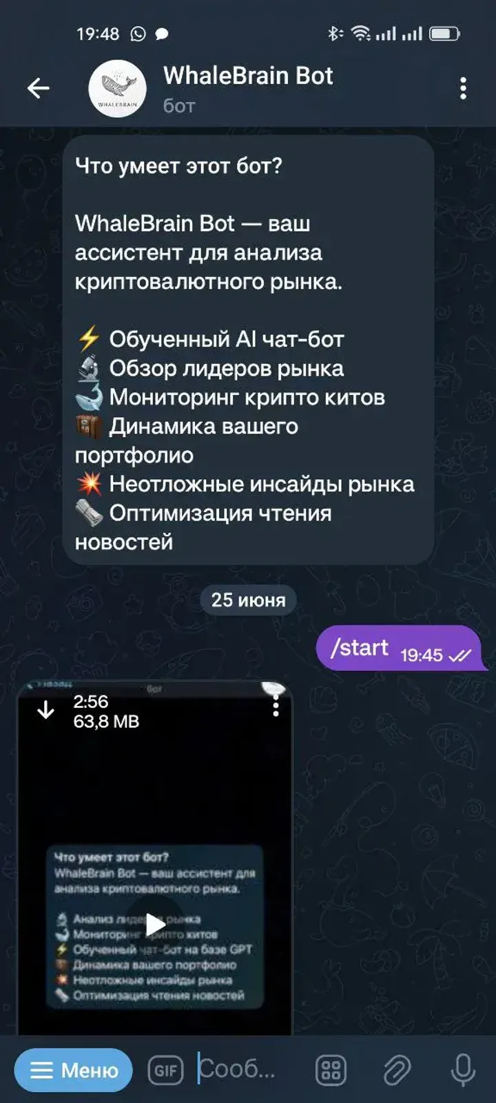 WhaleBrain Bot — Screenshot 5