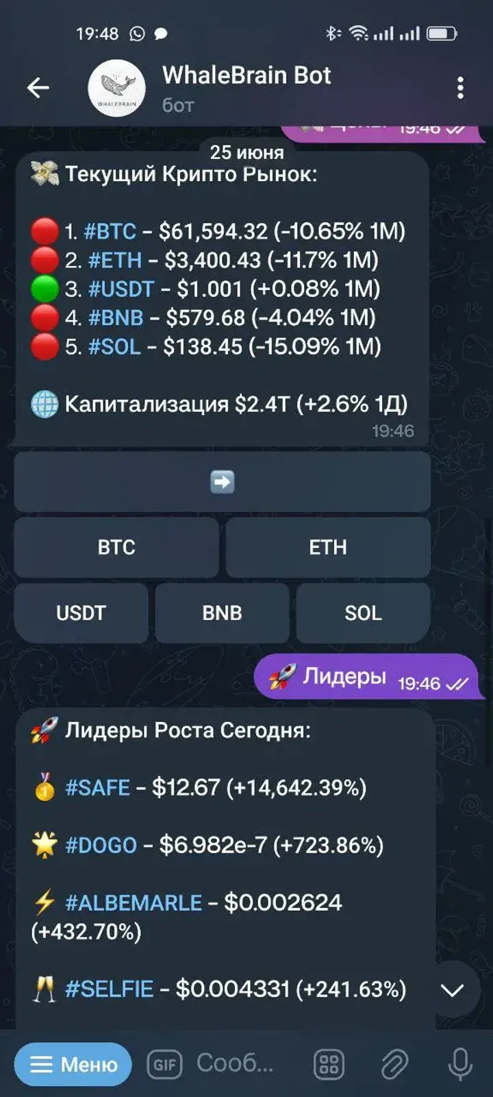 WhaleBrain Bot — Screenshot 6