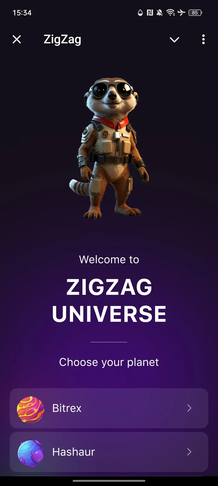 ZigZag — Screenshot 1