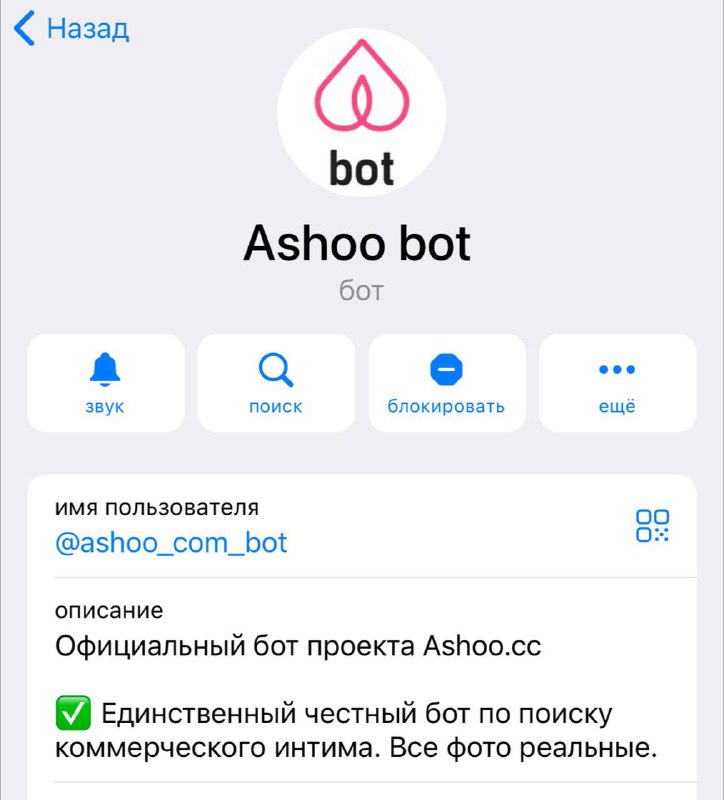 Ashoo io. Ashoo. Ashoo Казань. Ashoo вход. Ashoo Нижний Новгород.