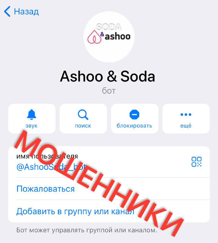 Ashoo io. Ashoo. Ashoo Казань. Jam Ashoo.