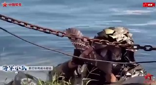 Китайские военные получили на вооружение разведывательный дрон в виде птицы  ...