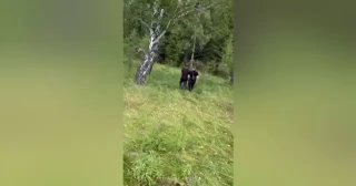 В Красноярском крае 50-летняя женщина завела молодого сожителя, который в ито...