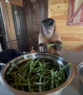 Когда возвращаешься на нелюбимую работу после очередного краха рынка криптова...