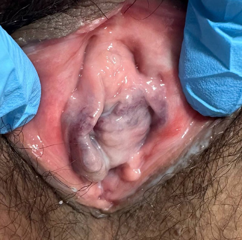 Ховард Стерн порно жұлдыз онлайн секс гравитация