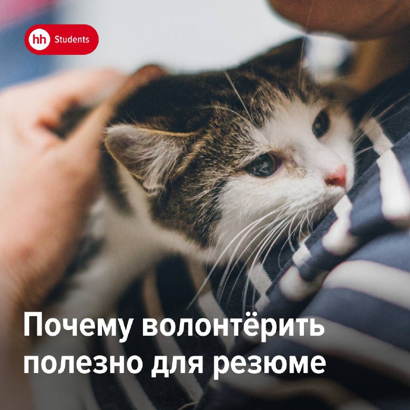 В этом вам помогут различные. В этом вам помогут различные