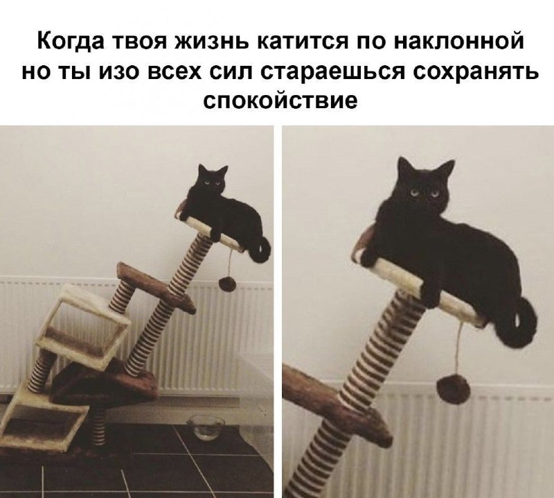 Если ты когда-либо чувствовал, что всё рушится…  Если ты задавал себе вопрос ...