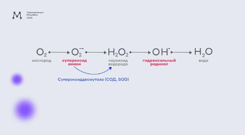 Супероксид. Супероксид анион радикал. Пероксид и супероксид. Обезвреживание супероксид анион радикала.