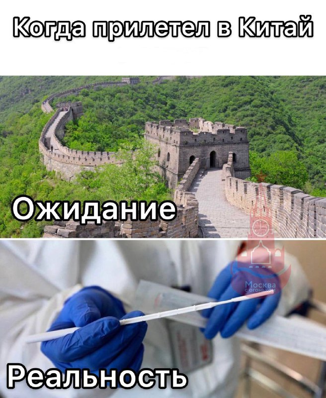 Бак анализ из попы