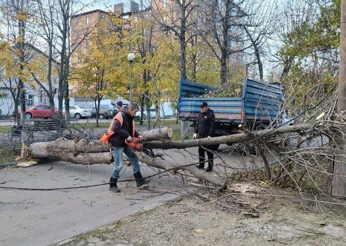 Шторм телеграм