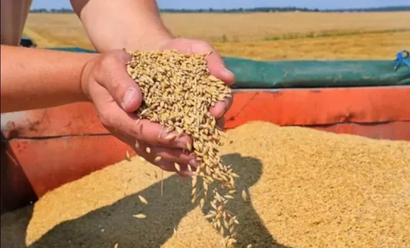 Россия вернется к зерновой сделке лишь после вывода ее сельхозпродукции на ми...