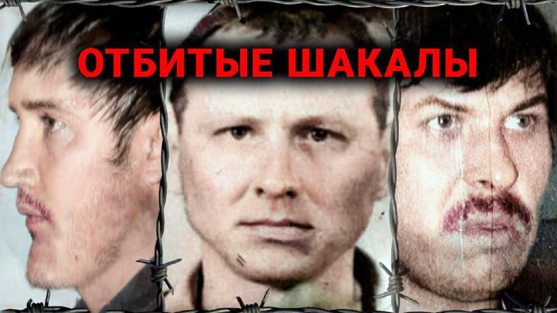 'ШАКАЛЫ' Что ТВОРИЛА Самая КРОВАВАЯ ГРУППИРОВКА Казахстана  Бусти.ру    https...