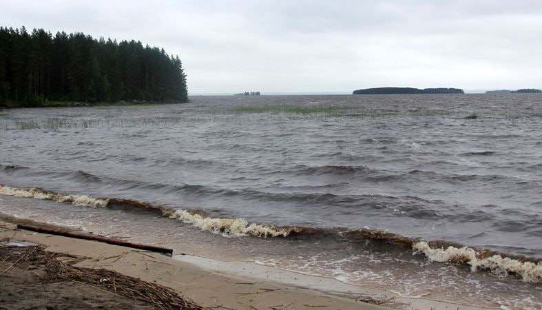 Сямозеро цвет воды коричневый почему