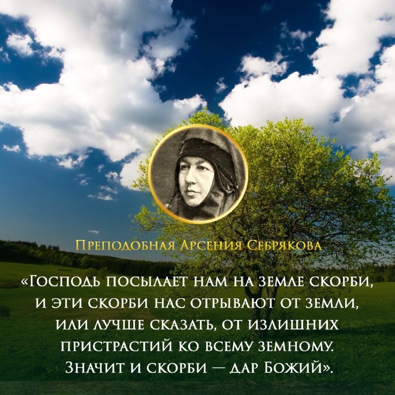 Арсения себрякова. Скорбь земли. Игумения Арсения Себрякова икона. Земли скорби Эбберон.