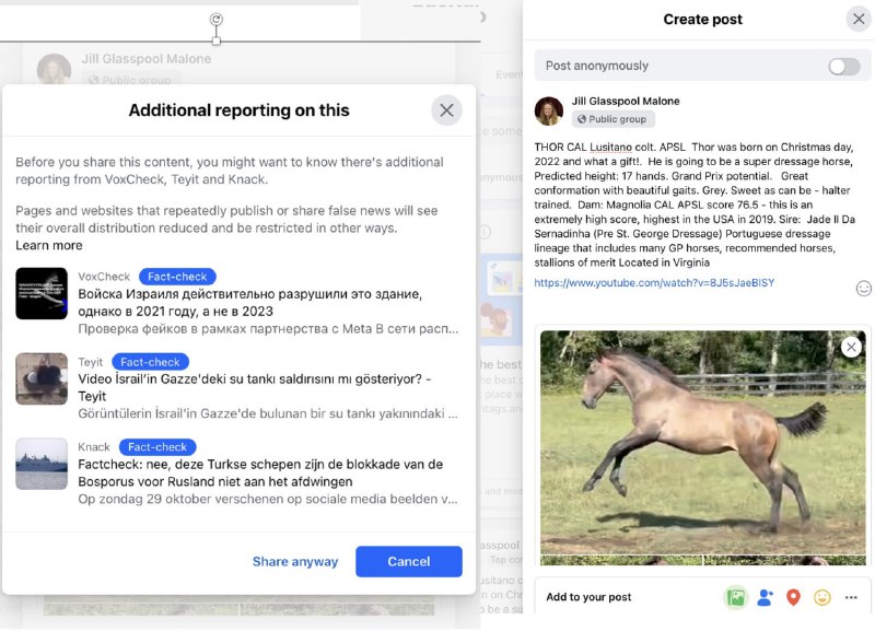 when-my-wife-tries-to-post-a-horse-video-from-our-youtube-acco-robert