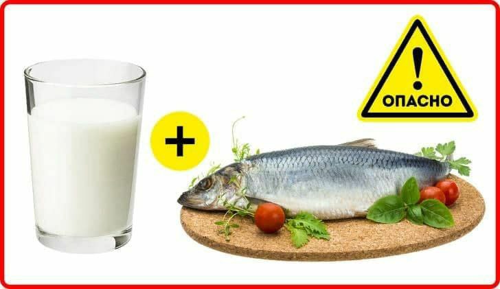 Соленая рыба с молоком. Кижуч малосольный. Вымачивание сельди. Соленая рыба с молоком. Сельдь слабосоленая на фоне дерева.