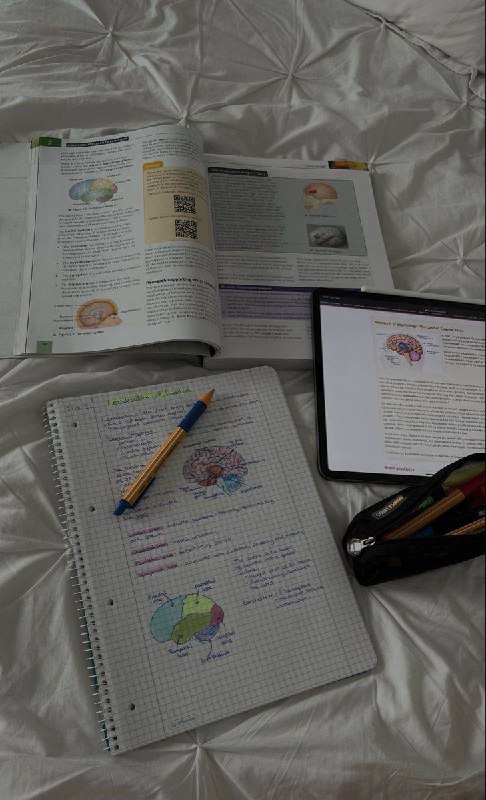 Все о жизни, образовании и карьере в Европе    Добавляйте папку и не упустите...
