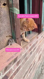 ПОСЛЕДНИЕ ДНИ СКИДКИ    -60% НА ВСЕ  ПРОМОКОД ВЕСНА24