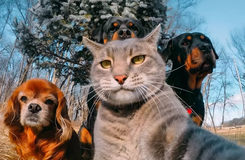 Мини розыгрыш на 3000 руб 6 победителей по 500 руб на любой проект с закрепа ...