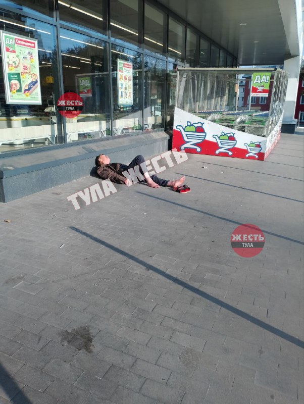 Происшествия в. Туле 18 ноября. Остановка максима горького тула. Тула жесть смартик. Тула жесть смартик.