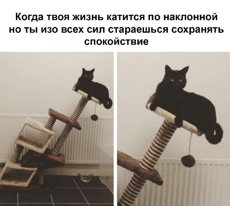 Если ты когда-либо чувствовал, что всё рушится…  Если ты задавал себе вопрос ...