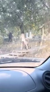 Квадроберы, там, где вы учились – бомжи преподавали    Подписаться на Жесть Дня