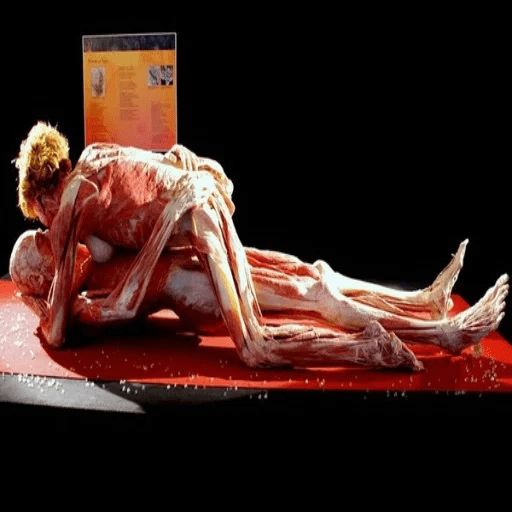 Эстетика Отвратительного 3 @stickerus sticker 2