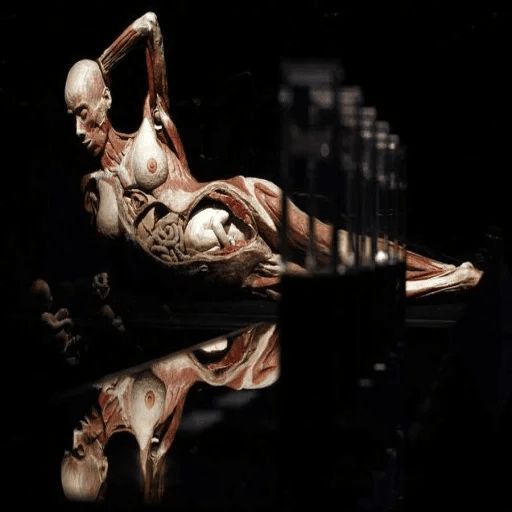 Эстетика Отвратительного 3 @stickerus sticker 52