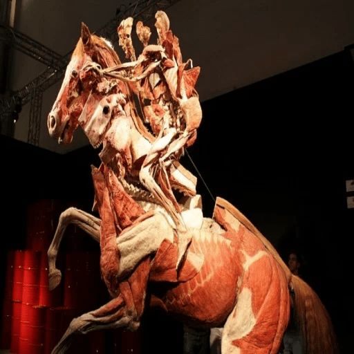 Эстетика Отвратительного 3 @stickerus sticker 87