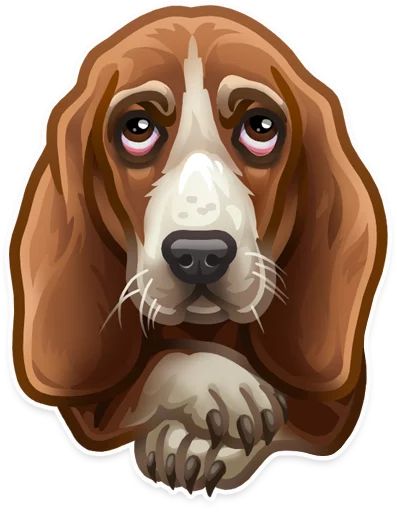 Just zoo it! (@TrendingStickers) sticker 5