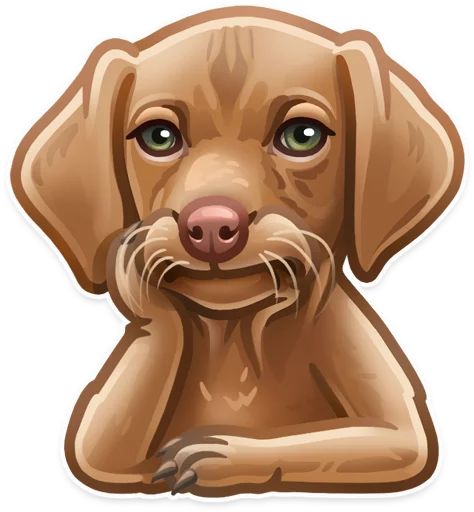 Just zoo it! (@TrendingStickers) sticker 7