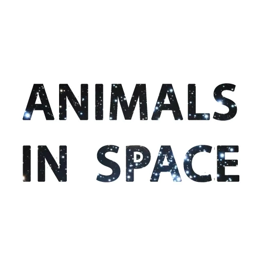 Animals in Space @mybeststickers Telegram sticker pack