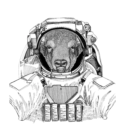 Animals in Space @mybeststickers sticker 26