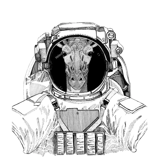 Animals in Space @mybeststickers sticker 28