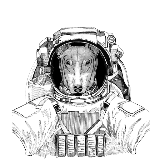 Animals in Space @mybeststickers sticker 30