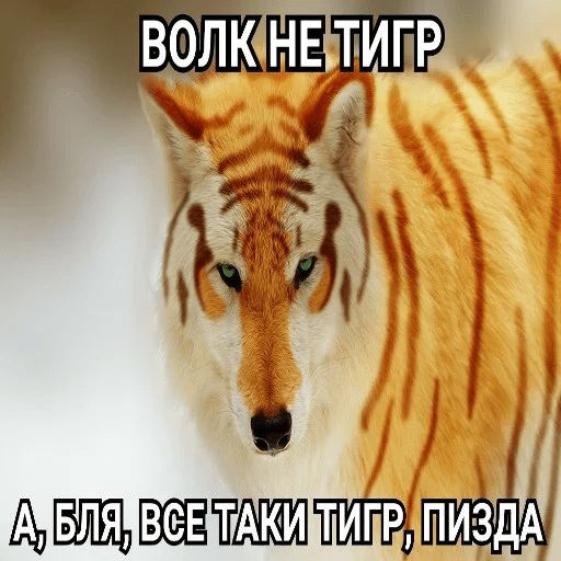 Антицирк Telegram sticker pack